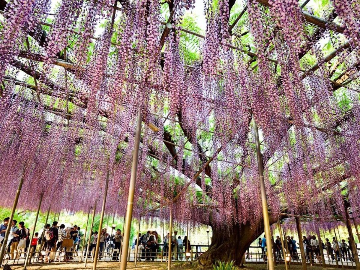 Nasushiobara Ichimantei Exterior foto
